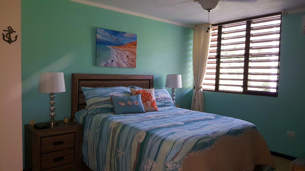 Fully Air-Conditioned Beach Front Penthouse Apartment Naguabo Exterior photo